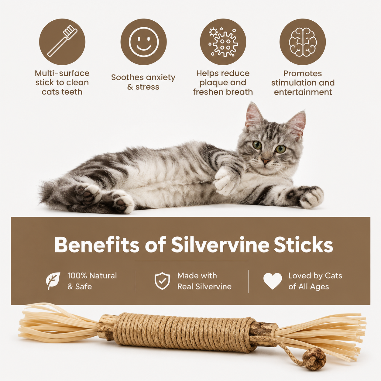 SilverBite™ – Natural Dental Chew Sticks