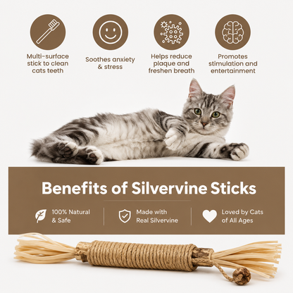 SilverBite™ – Natural Dental Chew Sticks