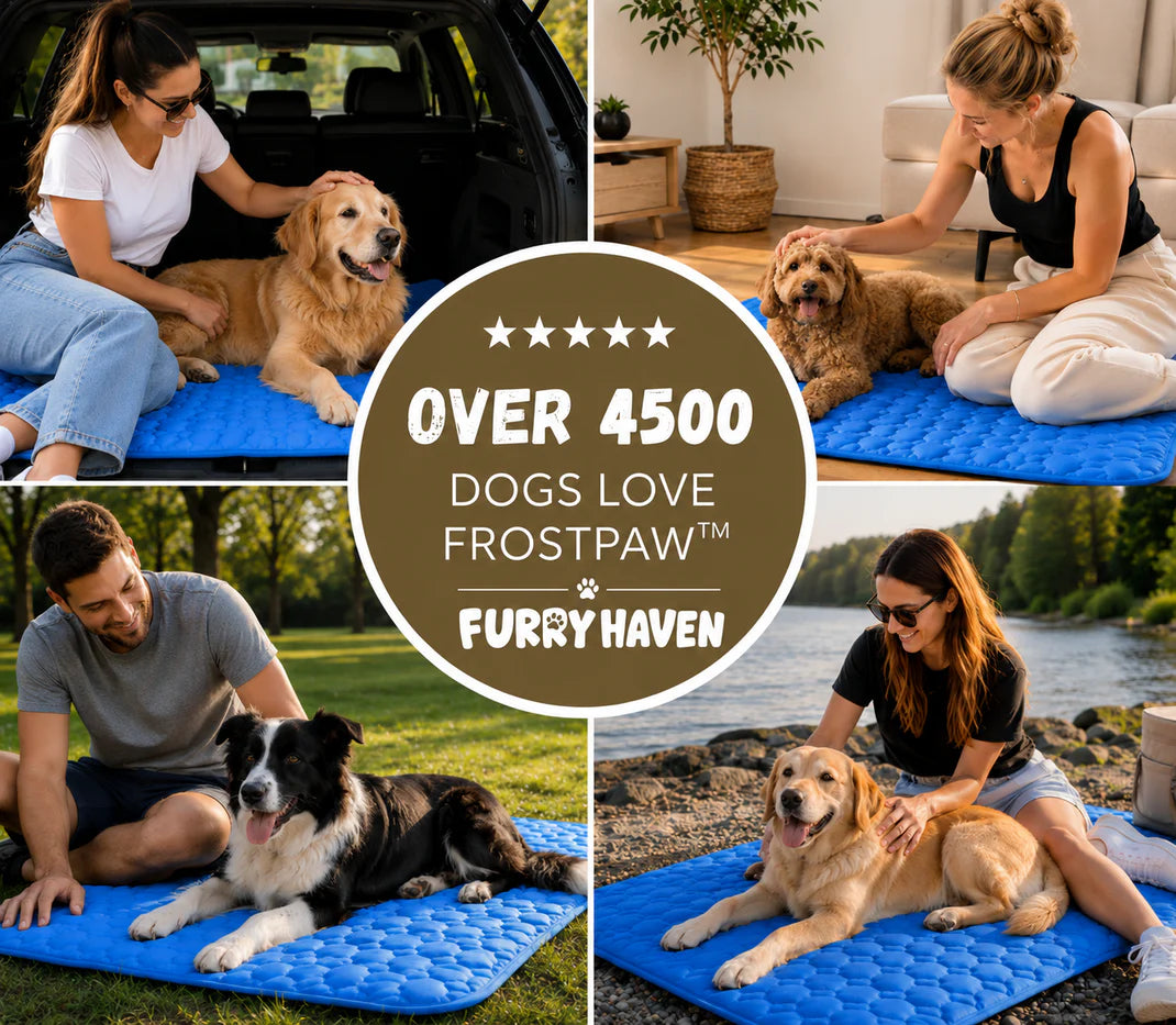 FrostPaw™ – Self-Cooling Pet Mat