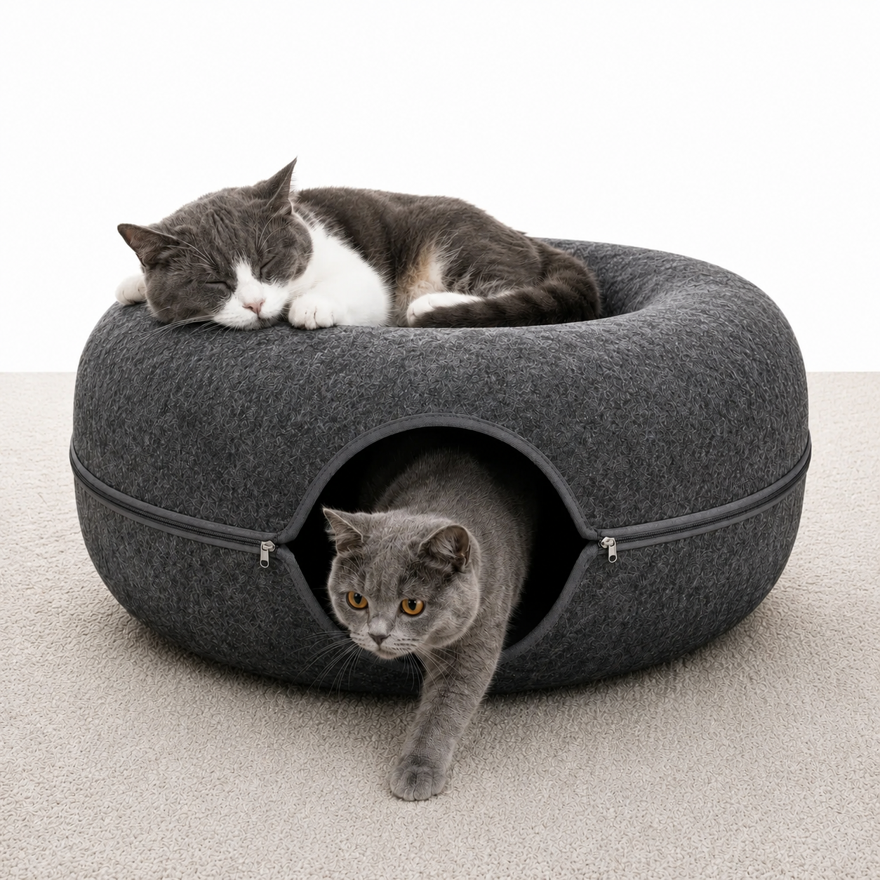 PurrHaven™ – 2-in-1 Cat Cave Bed