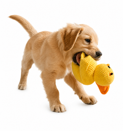 SnuggleDuck™ – Squeaky Plush Dog Toy